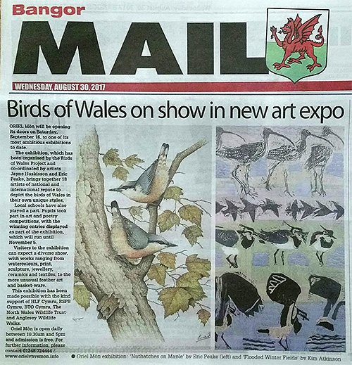 Birds_of_Wales_publicity_newspapers