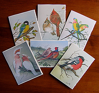 Card Sample Eric