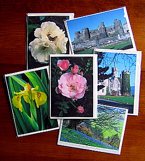 Card Sample Debby