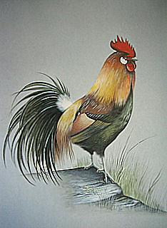 Cockeral Original
