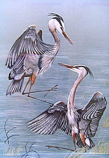 Original Fighting Herons S Wales