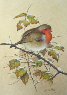 OOriginalwatercolourRobin.jpg