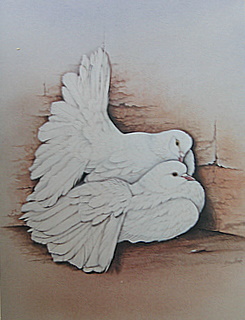 Fantails WALES
