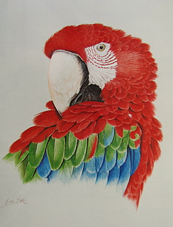 OrigGWMarylandIMG_2571