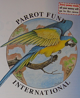 PFI Logo
