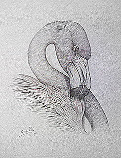 Pencil Flamingo