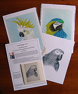 Print with Card Group in package
