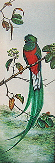 Original Quetzel Laws