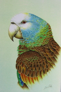 StVincLEIMG_0761