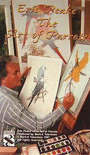 Vidoe Cover