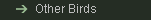 Other Birds